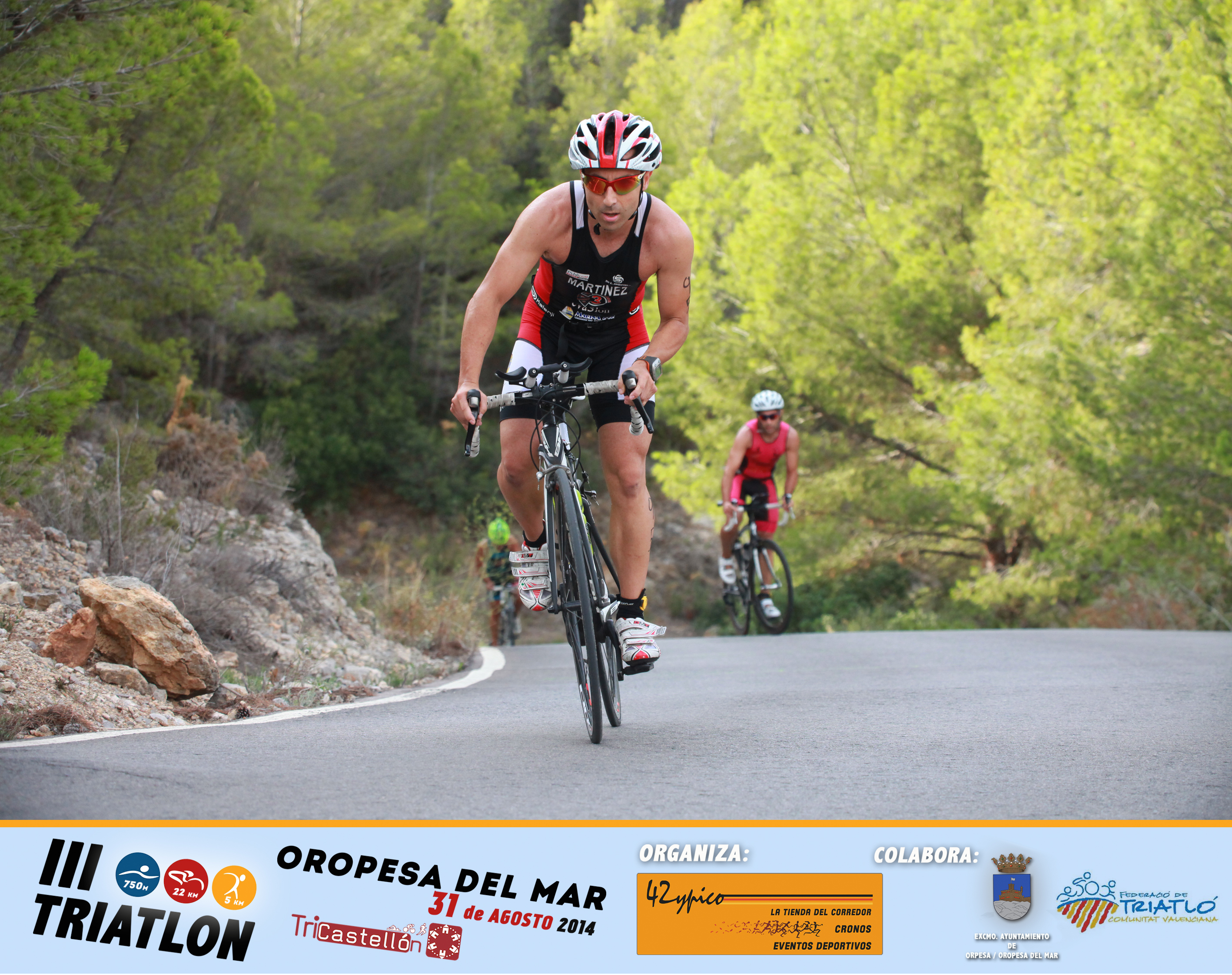 A-0294