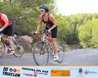A-1296